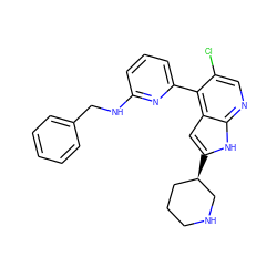 Clc1cnc2[nH]c([C@@H]3CCCNC3)cc2c1-c1cccc(NCc2ccccc2)n1 ZINC000220184583