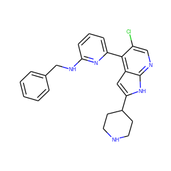 Clc1cnc2[nH]c(C3CCNCC3)cc2c1-c1cccc(NCc2ccccc2)n1 ZINC000220184344