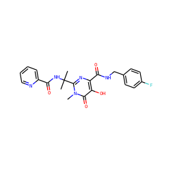 Cn1c(C(C)(C)NC(=O)c2ccccn2)nc(C(=O)NCc2ccc(F)cc2)c(O)c1=O ZINC000036925341