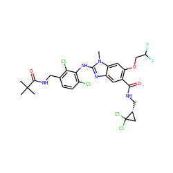 Cn1c(Nc2c(Cl)ccc(CNC(=O)C(C)(C)C)c2Cl)nc2cc(C(=O)NC[C@@H]3CC3(Cl)Cl)c(OCC(F)F)cc21 ZINC000169703099