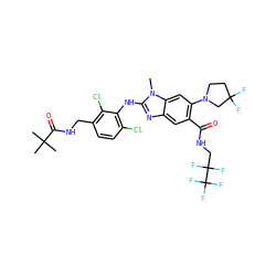 Cn1c(Nc2c(Cl)ccc(CNC(=O)C(C)(C)C)c2Cl)nc2cc(C(=O)NCC(F)(F)C(F)(F)F)c(N3CCC(F)(F)C3)cc21 ZINC000169700920