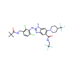 Cn1c(Nc2c(Cl)ccc(CNC(=O)C(C)(C)C)c2Cl)nc2cc(C(=O)NCC(F)(F)F)c(N3CCC(C(F)(F)F)CC3)cc21 ZINC000169700894
