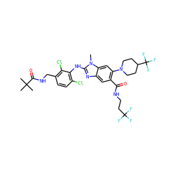 Cn1c(Nc2c(Cl)ccc(CNC(=O)C(C)(C)C)c2Cl)nc2cc(C(=O)NCCC(F)(F)F)c(N3CCC(C(F)(F)F)CC3)cc21 ZINC000169700929