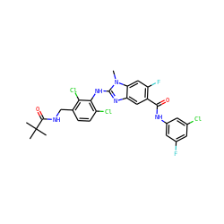Cn1c(Nc2c(Cl)ccc(CNC(=O)C(C)(C)C)c2Cl)nc2cc(C(=O)Nc3cc(F)cc(Cl)c3)c(F)cc21 ZINC000169703072