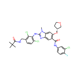 Cn1c(Nc2c(Cl)ccc(CNC(=O)C(C)(C)C)c2Cl)nc2cc(C(=O)Nc3ccc(F)c(Cl)c3)c(O[C@@H]3CCOC3)cc21 ZINC000169703154