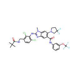 Cn1c(Nc2c(Cl)ccc(CNC(=O)C(C)(C)C)c2Cl)nc2cc(C(=O)Nc3cccc(OC(F)(F)F)c3)c(N3CCC(F)(F)C3)cc21 ZINC000169700908