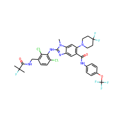 Cn1c(Nc2c(Cl)ccc(CNC(=O)C(C)(C)F)c2Cl)nc2cc(C(=O)Nc3ccc(OC(F)(F)F)cc3)c(N3CCC(F)(F)CC3)cc21 ZINC000169701021