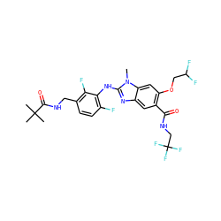 Cn1c(Nc2c(F)ccc(CNC(=O)C(C)(C)C)c2F)nc2cc(C(=O)NCC(F)(F)F)c(OCC(F)F)cc21 ZINC000169703076