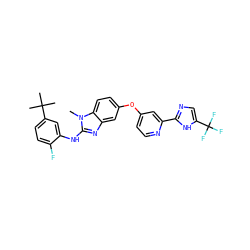 Cn1c(Nc2cc(C(C)(C)C)ccc2F)nc2cc(Oc3ccnc(-c4ncc(C(F)(F)F)[nH]4)c3)ccc21 ZINC000059769688