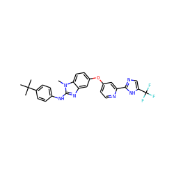 Cn1c(Nc2ccc(C(C)(C)C)cc2)nc2cc(Oc3ccnc(-c4ncc(C(F)(F)F)[nH]4)c3)ccc21 ZINC000034983162