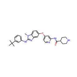 Cn1c(Nc2cccc(C(C)(C)C)c2)nc2cc(Oc3ccnc(NC(=O)C4CCNCC4)c3)ccc21 ZINC000168590258