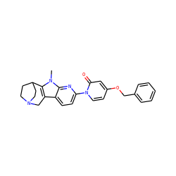 Cn1c2c(c3ccc(-n4ccc(OCc5ccccc5)cc4=O)nc31)CN1CCC2CC1 ZINC000114087283