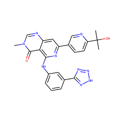 Cn1cnc2cc(-c3ccc(C(C)(C)O)nc3)nc(Nc3cccc(-c4nn[nH]n4)c3)c2c1=O ZINC000115626333