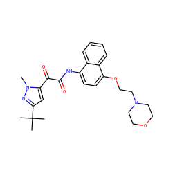 Cn1nc(C(C)(C)C)cc1C(=O)C(=O)Nc1ccc(OCCN2CCOCC2)c2ccccc12 ZINC000040413062