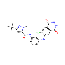 Cn1nc(C(C)(C)C)cc1C(=O)Nc1cccc(Nc2cc3c(=O)[nH][nH]c(=O)c3cc2Cl)c1 ZINC000073169428