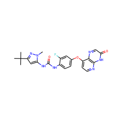 Cn1nc(C(C)(C)C)cc1NC(=O)Nc1ccc(Oc2ccnc3[nH]c(=O)cnc23)cc1F ZINC000058541218