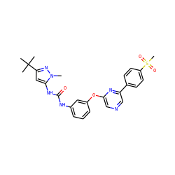 Cn1nc(C(C)(C)C)cc1NC(=O)Nc1cccc(Oc2cncc(-c3ccc(S(C)(=O)=O)cc3)n2)c1 ZINC000473082839