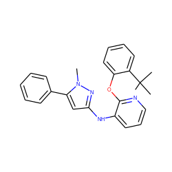 Cn1nc(Nc2cccnc2Oc2ccccc2C(C)(C)C)cc1-c1ccccc1 ZINC000096271723