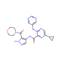 Cn1ncc(NC(=O)c2nc(C3CC3)cnc2Nc2cncnc2)c1C(=O)N1CCOCC1 ZINC000169701802