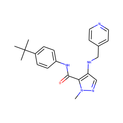 Cn1ncc(NCc2ccncc2)c1C(=O)Nc1ccc(C(C)(C)C)cc1 ZINC000028889847