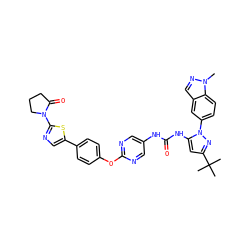 Cn1ncc2cc(-n3nc(C(C)(C)C)cc3NC(=O)Nc3cnc(Oc4ccc(-c5cnc(N6CCCC6=O)s5)cc4)nc3)ccc21 ZINC000223442476