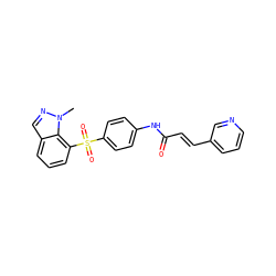 Cn1ncc2cccc(S(=O)(=O)c3ccc(NC(=O)/C=C/c4cccnc4)cc3)c21 ZINC000225947937
