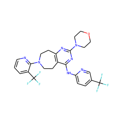 FC(F)(F)c1ccc(Nc2nc(N3CCOCC3)nc3c2CCN(c2ncccc2C(F)(F)F)CC3)nc1 ZINC000064549607