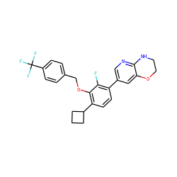 Fc1c(-c2cnc3c(c2)OCCN3)ccc(C2CCC2)c1OCc1ccc(C(F)(F)F)cc1 ZINC000224578249