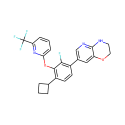 Fc1c(-c2cnc3c(c2)OCCN3)ccc(C2CCC2)c1Oc1cccc(C(F)(F)F)n1 ZINC000224551623
