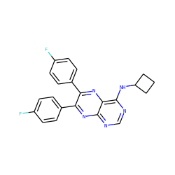 Fc1ccc(-c2nc3ncnc(NC4CCC4)c3nc2-c2ccc(F)cc2)cc1 ZINC000028342660