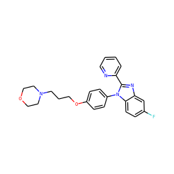 Fc1ccc2c(c1)nc(-c1ccccn1)n2-c1ccc(OCCCN2CCOCC2)cc1 ZINC000038226045