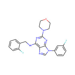 Fc1cccc(-n2cnc3c(NCc4ccccc4F)nc(N4CCOCC4)nc32)c1 ZINC000202060493