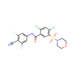 N#Cc1c(F)cc(NC(=O)c2cc(S(=O)(=O)N3CCOCC3)c(Cl)cc2Cl)cc1F ZINC001772606859