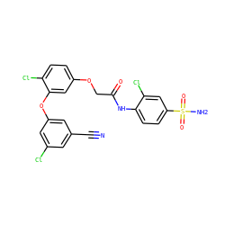N#Cc1cc(Cl)cc(Oc2cc(OCC(=O)Nc3ccc(S(N)(=O)=O)cc3Cl)ccc2Cl)c1 ZINC000029046156
