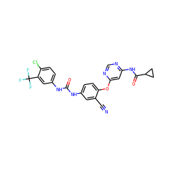N#Cc1cc(NC(=O)Nc2ccc(Cl)c(C(F)(F)F)c2)ccc1Oc1cc(NC(=O)C2CC2)ncn1 ZINC001772587565