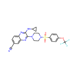 N#Cc1ccc2nc(NC3CC3)c(N3CCN(S(=O)(=O)c4ccc(OC(F)(F)F)cc4)CC3)nc2c1 ZINC000144324198