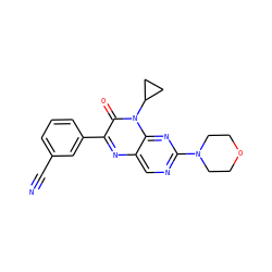 N#Cc1cccc(-c2nc3cnc(N4CCOCC4)nc3n(C3CC3)c2=O)c1 ZINC000004239071