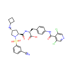 N#Cc1cccc(S(=O)(=O)N2C[C@H](NC3CCC3)C[C@H]2C(=O)N[C@@H](Cc2ccc(NC(=O)c3c(Cl)cncc3Cl)cc2)C(=O)O)c1 ZINC000049898142
