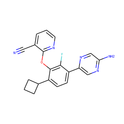 N#Cc1cccnc1Oc1c(C2CCC2)ccc(-c2cnc(N)cn2)c1F ZINC000224554389