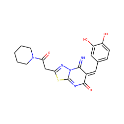 N=C1/C(=C\c2ccc(O)c(O)c2)C(=O)N=C2SC(CC(=O)N3CCCCC3)=NN12 ZINC000005163124