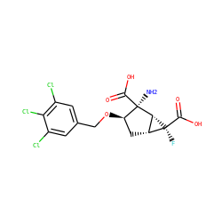 N[C@@]1(C(=O)O)[C@H](OCc2cc(Cl)c(Cl)c(Cl)c2)C[C@@H]2[C@H]1[C@@]2(F)C(=O)O ZINC000013582212