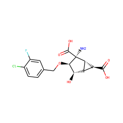 N[C@@]1(C(=O)O)[C@H](OCc2ccc(Cl)c(F)c2)[C@H](O)[C@@H]2[C@H]1[C@H]2C(=O)O ZINC001772639825