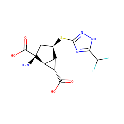 N[C@@]1(C(=O)O)C[C@@H](Sc2n[nH]c(C(F)F)n2)[C@H]2[C@H](C(=O)O)[C@H]21 ZINC000205000757