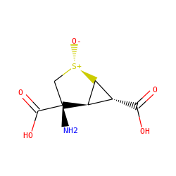 N[C@@]1(C(=O)O)C[S@+]([O-])[C@H]2[C@H](C(=O)O)[C@H]21 ZINC000035090626