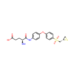 N[C@@H](CCC(=O)O)C(=O)Nc1ccc(Oc2ccc(S(=O)(=O)C[C@@H]3CS3)cc2)cc1 ZINC000072122795