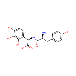 N[C@@H](Cc1ccc(O)cc1)C(=O)N[C@@H](C(=O)O)c1ccc(O)c(O)c1O ZINC000026718226