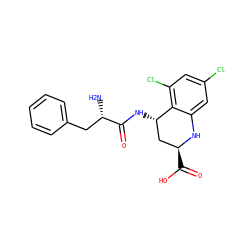 N[C@@H](Cc1ccccc1)C(=O)N[C@H]1C[C@H](C(=O)O)Nc2cc(Cl)cc(Cl)c21 ZINC000013455239