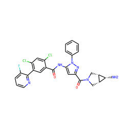 N[C@@H]1[C@@H]2CN(C(=O)c3cc(NC(=O)c4cc(-c5ncccc5F)c(Cl)cc4Cl)n(-c4ccccc4)n3)C[C@@H]21 ZINC001772606042