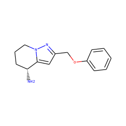 N[C@@H]1CCCn2nc(COc3ccccc3)cc21 ZINC000299838185