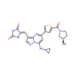 N[C@@H]1CCN(C(=O)c2cc(-c3cc(NC4CC4)n4ncc(/C=C5\NC(=O)NC5=O)c4n3)cs2)C1 ZINC000205036546